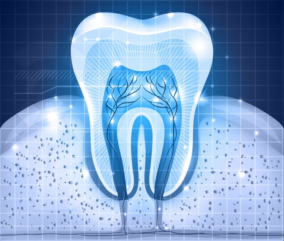 Endodonti (Kanal Tedavisi)