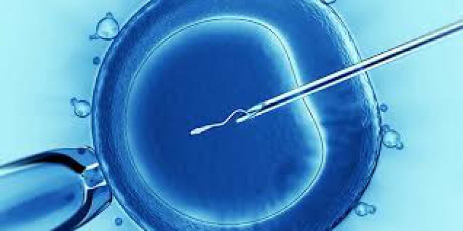 Tüp Bebek (IVF)