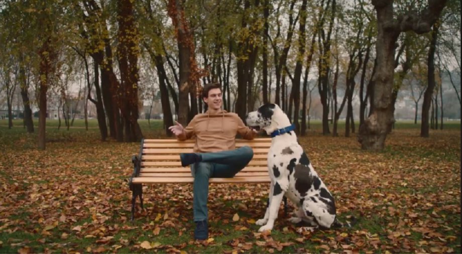 FuseTea - Gençlerin Karışım Keyfi