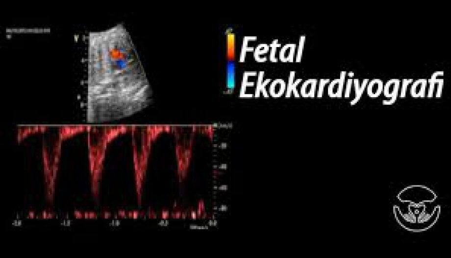 Fetal Kalp Muayenesi ve Doppler İnceleme