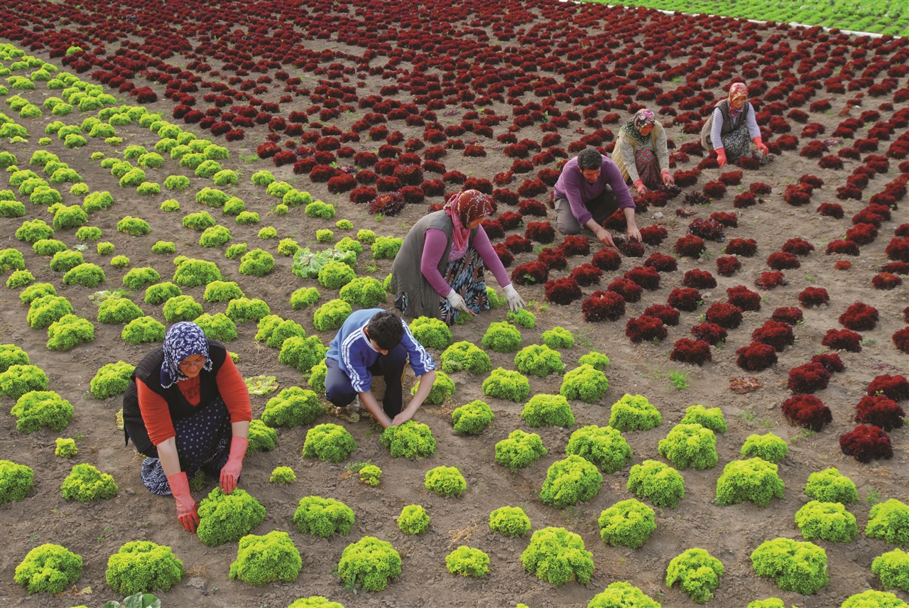 Çiftçi Olmadan Karnımız Doymaz