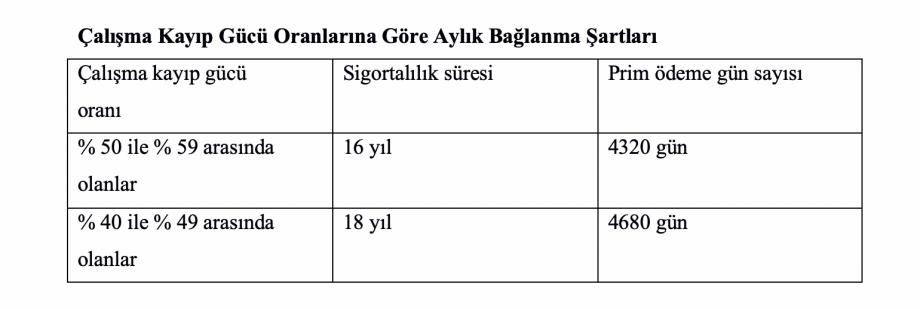 buket yeni foto albüm