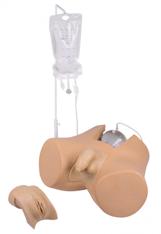 Catheterization trainer with male genital insert Henri and female genital insert Florence