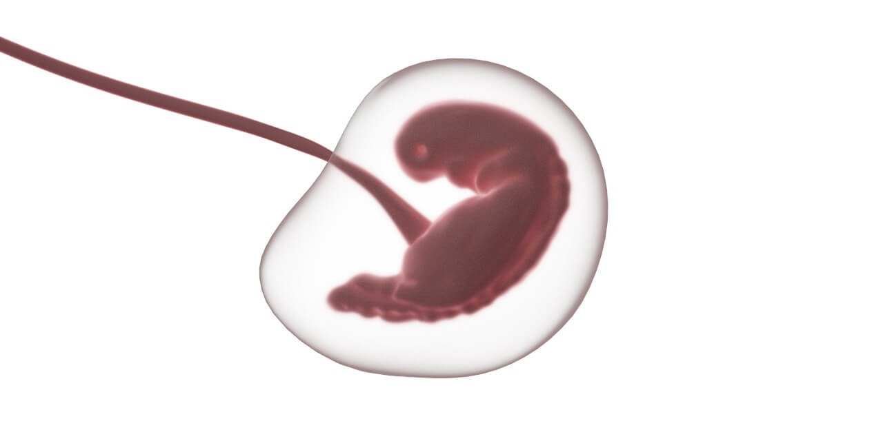 Vakumlu Kürtaj Nedir, Nasıl Uygulanır, Riskleri Nelerdir?