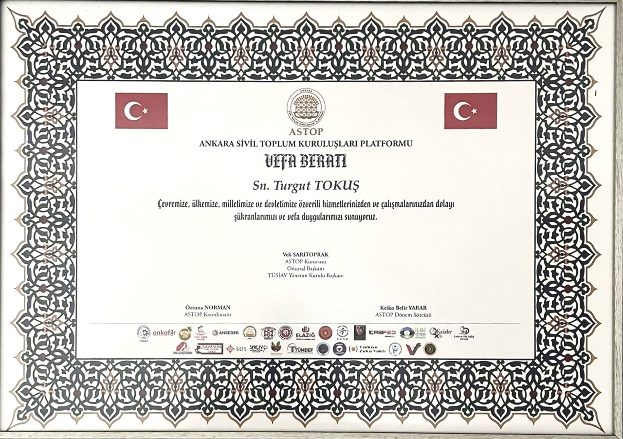 VEFA BERATI